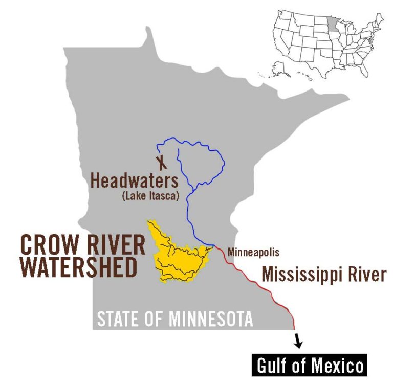 On the Crow The Lexicon