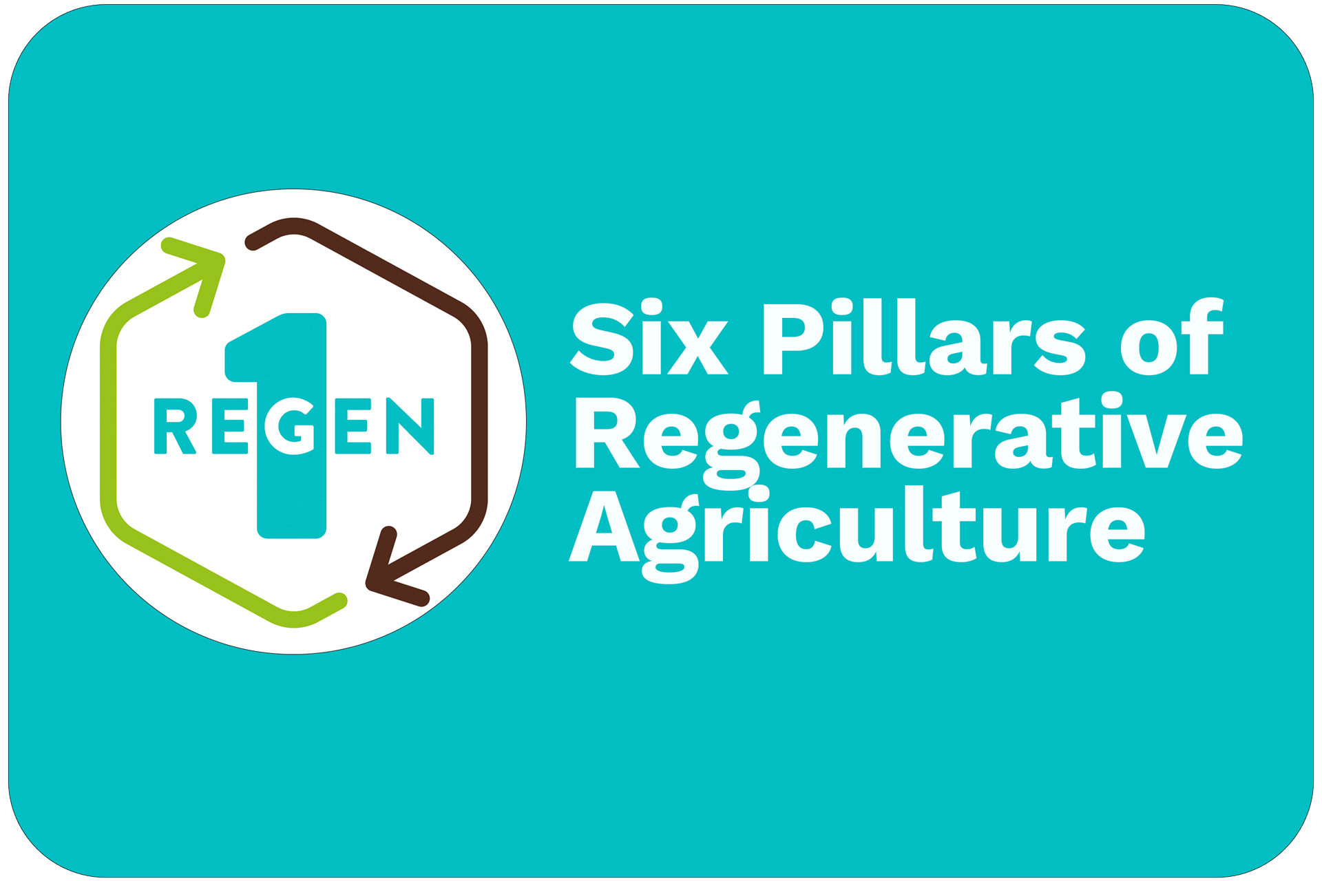 00-REGEN1_SIXPILLARS.png